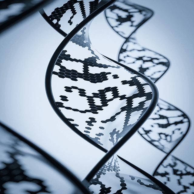Career DNA report cover
