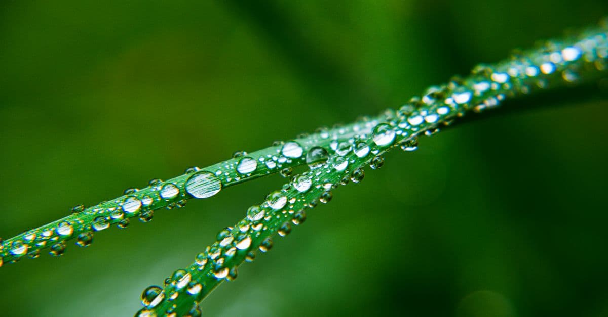 Wealth Dashas and Transits: Are You in a Consolidation Cycle or a Real Expansion Window?