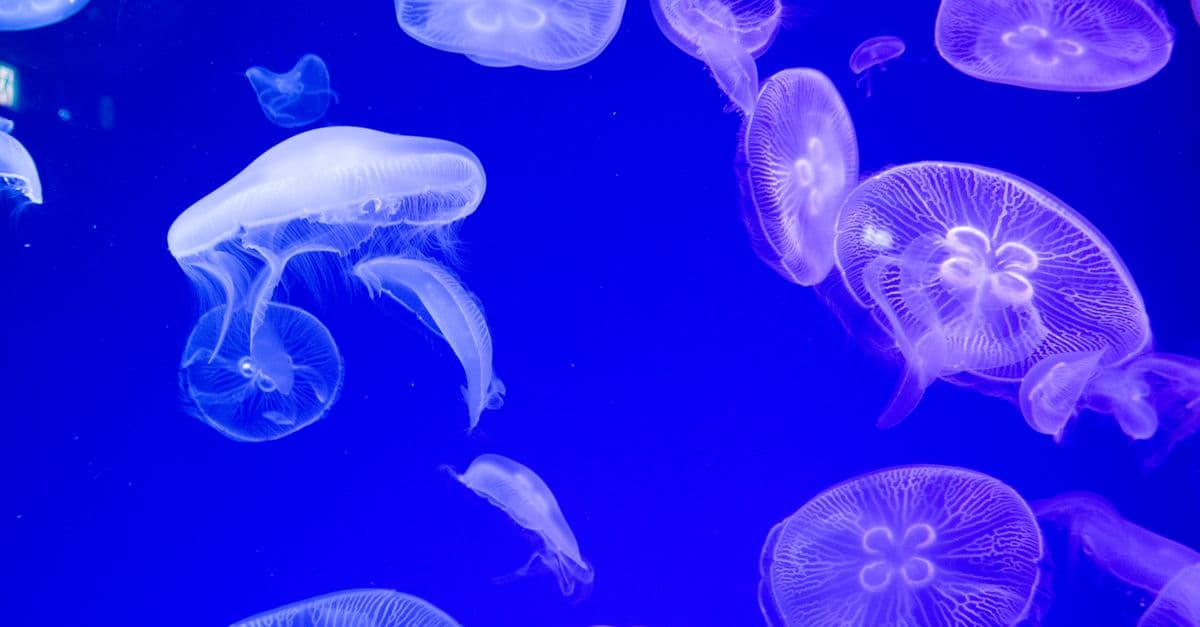 Current Transits to Your Birth Chart: Turn Planetary Movement Into a Personal Timing Dashboard