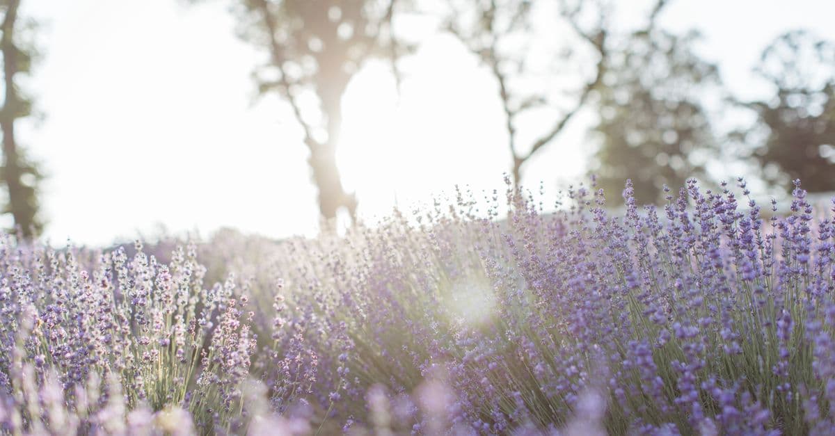 “Why Is the Energy ‘Off’ Today?” A Guide to What Astrology Can (and Can’t) Explain About Your Day